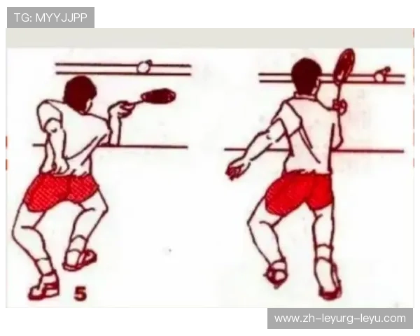 羽毛球扑球的特点 羽毛球扑球的特点